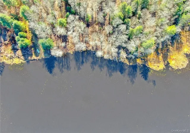 Photo 4 of Land for sale at 122 Jaketown Rd, Swan Lake, NY 12783 | MLS# 992828 | Listing updated on 2026-09-03