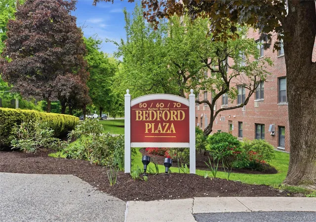Homes for sale in Mount Kisco, NY | 60 Barker Ave #320, Mount Kisco, NY 10549 | MLS# 993198