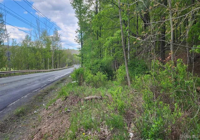 Homes for sale in Fallsburg, NY | 00 Rt-42, Fallsburg, NY 12733 | MLS# 993227