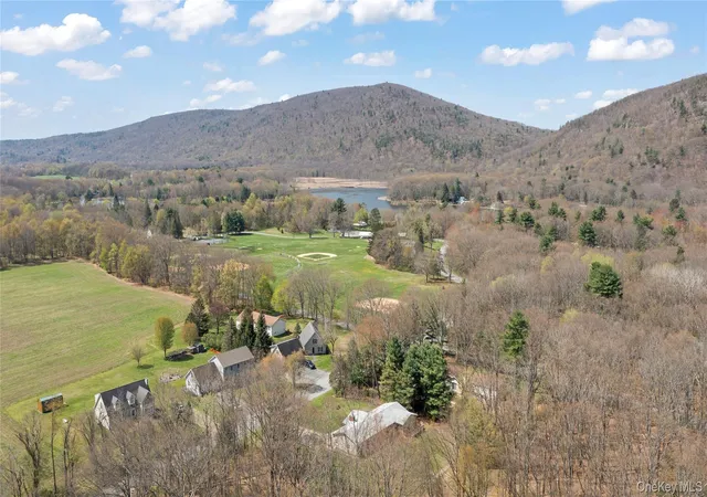 Photo 3 of Single family home for sale at 60 Stissing Ave, Pine Plains, NY 12567 | MLS# 993638 | Listing updated on 2026-09-25