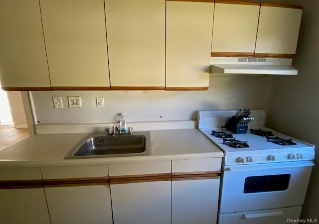 Listing Photo 4 - Condo for sale in building located at 261-65 Langston Ave, New York, NY 11004 - Unit #A-1