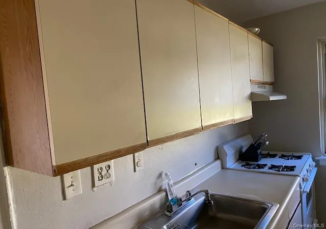 Listing Photo 5 - Condo for sale in building located at 261-65 Langston Ave, New York, NY 11004 - Unit #A-1
