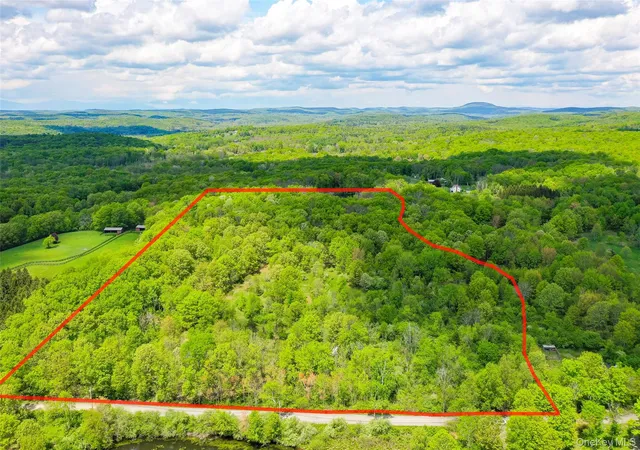 1st image of Parcel 1   Tbd Woodstock Rd, Washington, NY 12545 | MLS# 994158