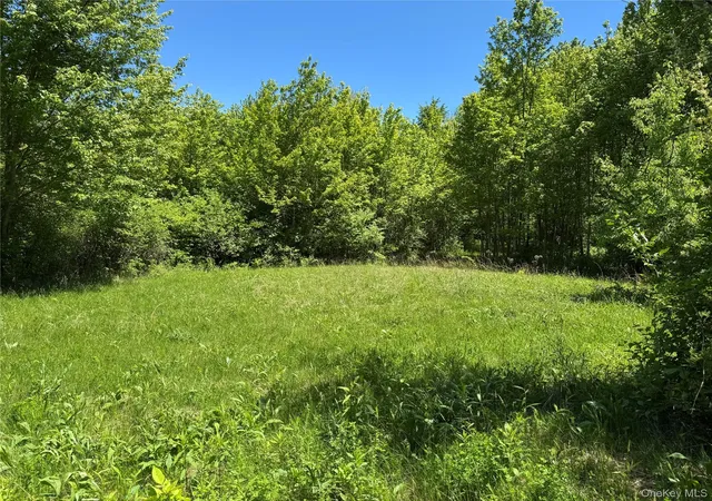 2nd image of Parcel 1   Tbd Woodstock Rd, Washington, NY 12545 | MLS# 994158
