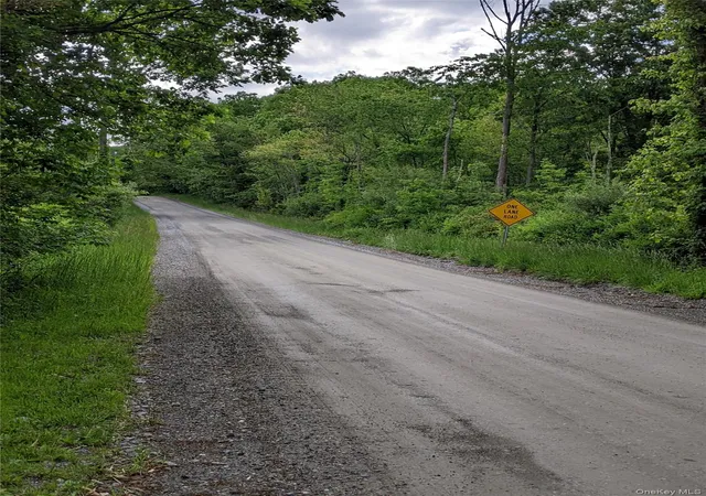 4th image of Parcel 1 - Tbd Woodstock Rd, Washington, NY 12545 | MLS# 994158