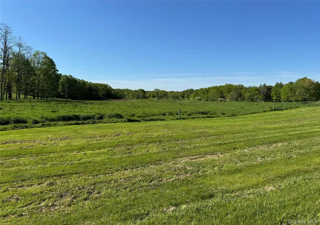 4th image of Tbd Woodstock Rd, Washington, NY 12545 | MLS# 994159