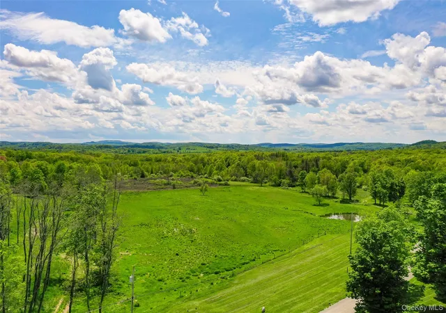 5th image of Tbd Woodstock Rd, Washington, NY 12545 | MLS# 994159