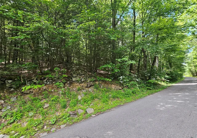 2nd image of Trails End Rd, Kerhonkson, NY 12446 | MLS# 994361