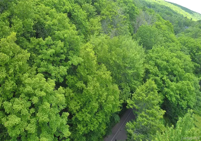 Photo 4 of Land for sale at Trails End Rd, Kerhonkson, NY 12446 | MLS# 994361 | Listing updated on 2026-07-14