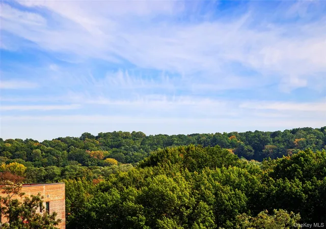 Photo 3 of Condo for sale at 4414 Cayuga Ave #1D, New York, NY 10471 | MLS# 994396 | Listing updated on 2026-10-04