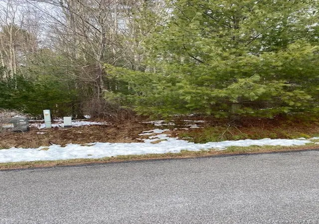 Homes for sale in Thompson, NY | Lot 114 Old Congress Rd, Thompson, NY 12701 | MLS# 994431