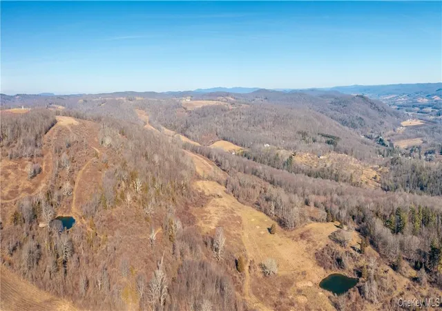 3rd image of 1297 Route 343, Dover Plains, NY 12522 | MLS# 995039