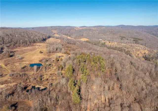 4th image of 1297 Route 343, Dover Plains, NY 12522 | MLS# 995039