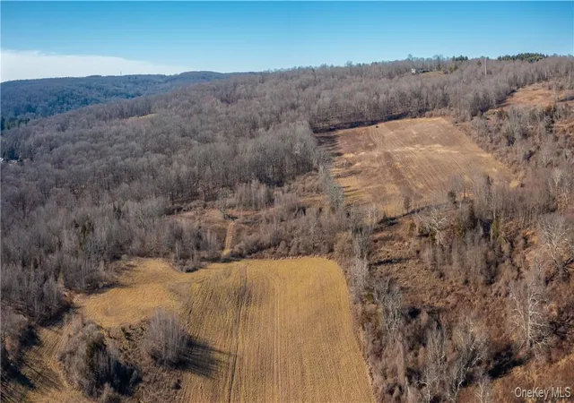 5th image of 1297 Route 343, Dover Plains, NY 12522 | MLS# 995039