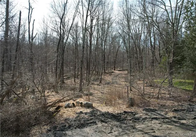 1st image of Owen Dr, Mahopac, NY 10541 | MLS# 995218