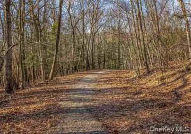 Photo 3 of Land for sale at Tbd Cragsmoor/vista Maria, Wawarsing, NY 12420 | MLS# 995546 | Listing updated on 2026-07-11
