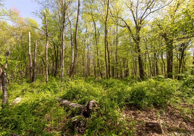 Photo 4 of Land for sale at 298 Nash Rd, North Salem, NY 10560 | MLS# 995826 | Listing updated on 2026-06-15