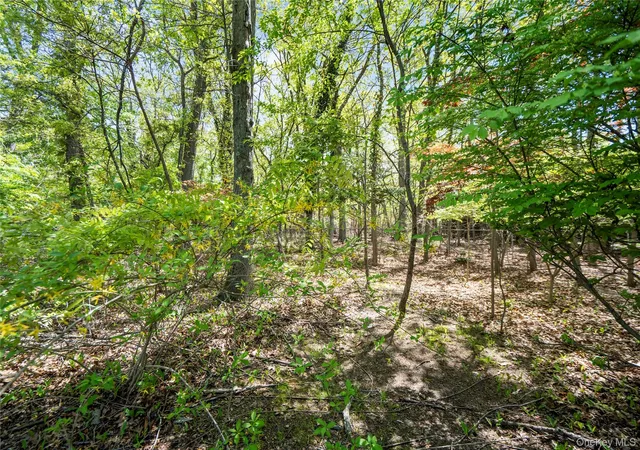 42nd image of 6 Canterbury Ct, East Setauket, NY 11733 | MLS# 995959