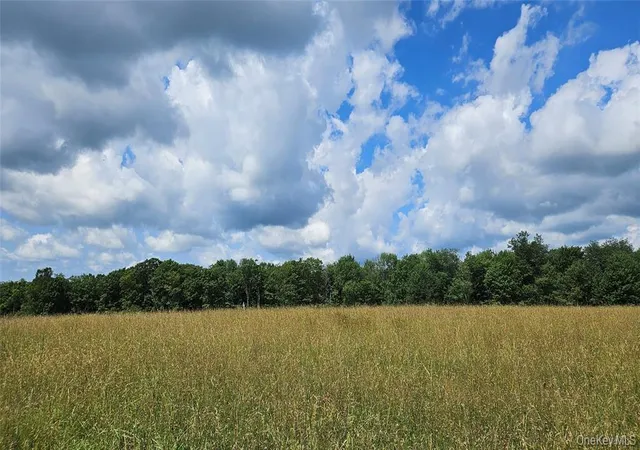 Photo 1 of Sale Pending at 0 Stump Pond Rd, Delaware, NY 12724 | MLS# 996315 | Listing updated on 2026-08-04
