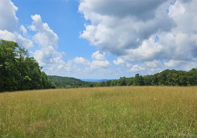 Photo 4 of Sale Pending at 0 Stump Pond Rd, Delaware, NY 12724 | MLS# 996315 | Listing updated on 2026-08-04