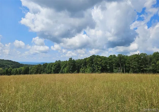 Photo 8 of Sale Pending at 0 Stump Pond Rd, Delaware, NY 12724 | MLS# 996315 | Listing updated on 2026-08-04