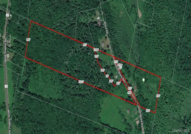 Photo 40 of Land for sale at 153 Shore Rd, Liberty, NY 12787 | MLS# 996540 | Listing updated on 2026-07-25