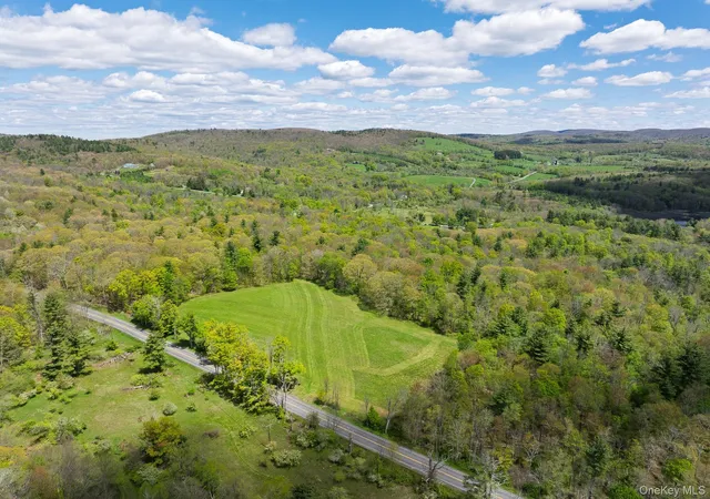 Homes for sale in Hillsdale, NY | 0 County Route 21, Hillsdale, NY 12529 | MLS# 996860
