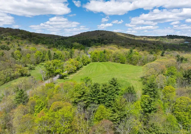 Homes for sale in Hillsdale, NY | 0 County Route 21, Hillsdale, NY 12529 | MLS# 996860