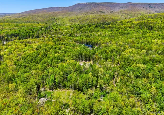 Homes for sale in Shawangunk, NY | 51 Redder Rd, Shawangunk, NY 12566 | MLS# 996913