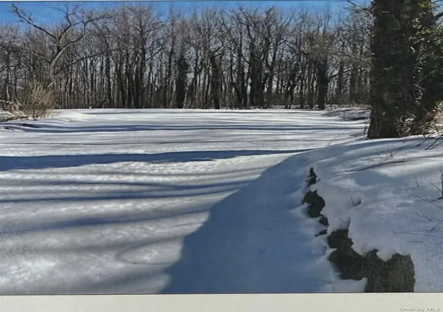 3rd image of Plainview Rd, Huntington, NY 11743 | MLS# 998010