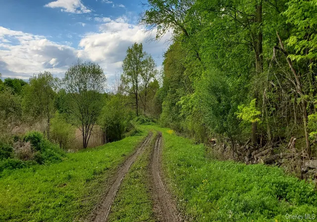 4th image of 207 Cardinal Rd, Hyde Park, NY 12538 | MLS# 998238