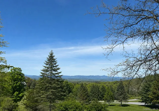39th image of 1763 County Route 19, Clermont, NY 12571 | MLS# 998510