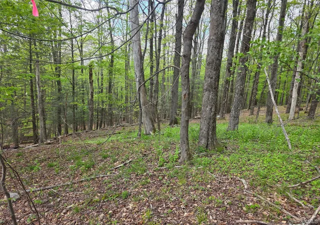 Homes for sale in Fallsburg, NY | Wade Road Road, Fallsburg, NY 12733 | MLS# 999176