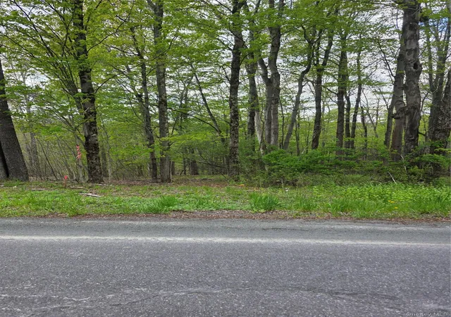 Homes for sale in Fallsburg, NY | Wade Road Road, Fallsburg, NY 12733 | MLS# 999176