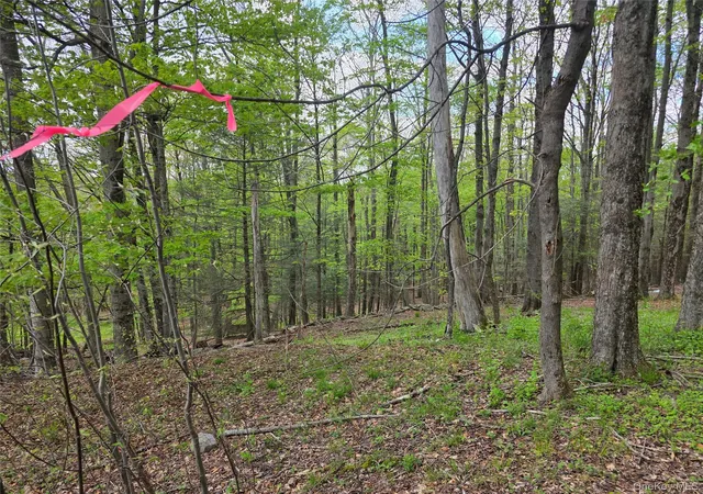 Homes for sale in Fallsburg, NY | Wade Road Road, Fallsburg, NY 12733 | MLS# 999176