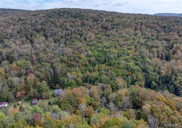 3rd image of Grooville Rd, Livingston Manor, NY 12758 | MLS# 999421