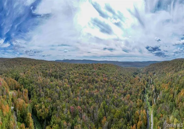 5th image of Grooville Rd, Livingston Manor, NY 12758 | MLS# 999421