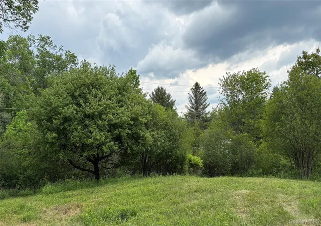 Homes for sale in Liberty, NY | 52 E Hill Rd, Liberty, NY 12748 | MLS# 999834