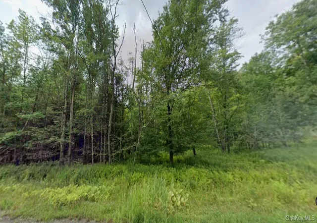 Photo 1 of Land for sale at 780 Tanzman Rd, Liberty, NY 12768 | MLS# 1000242 | Listing updated on 2026-08-02