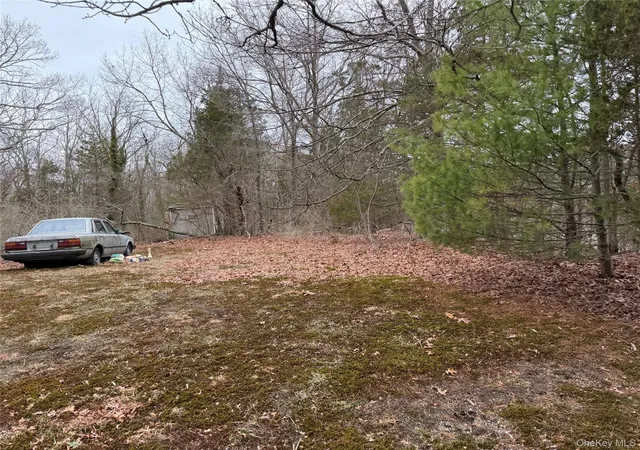 2nd image of 171 Stony Hollow Rd, Greenlawn, NY 11740 | MLS# 1000516