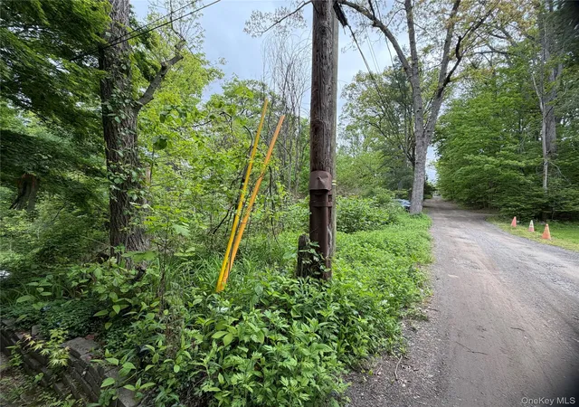 Photo 3 of Land for sale at 48 Paradise Trl, Monroe, NY 10950 | MLS# 1000544 | Listing updated on 2026-05-26