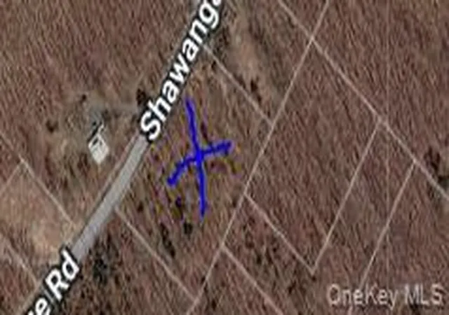 Homes for sale in Mamakating, NY | Shawanga Lodge Rd, Mamakating, NY 12721 | MLS# 1000955