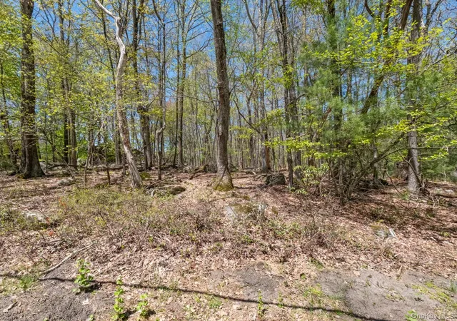 Homes for sale in Thompson, NY | Canal Rd, Thompson, NY 12775 | MLS# 1001092