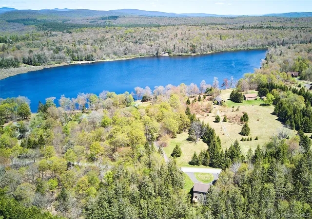 41st image of 26 Elko Lake Dr, Parksville, NY 12768 | MLS# 1001547