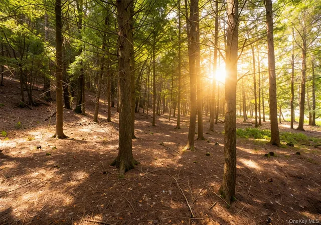Photo 2 of Land for sale at Lot 5 Timber Dr, Bethel, NY 12720 | MLS# 1002465 | Listing updated on 2026-09-18