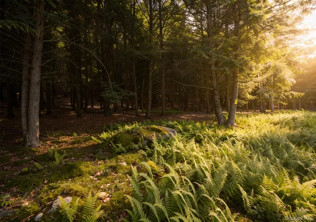 Photo 3 of Land for sale at Lot 5 Timber Dr, Bethel, NY 12720 | MLS# 1002465 | Listing updated on 2026-09-18