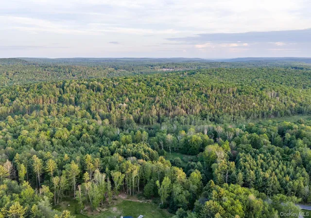 1st image of Mongaup Rd, Monticello, NY 12701 | MLS# 1002504