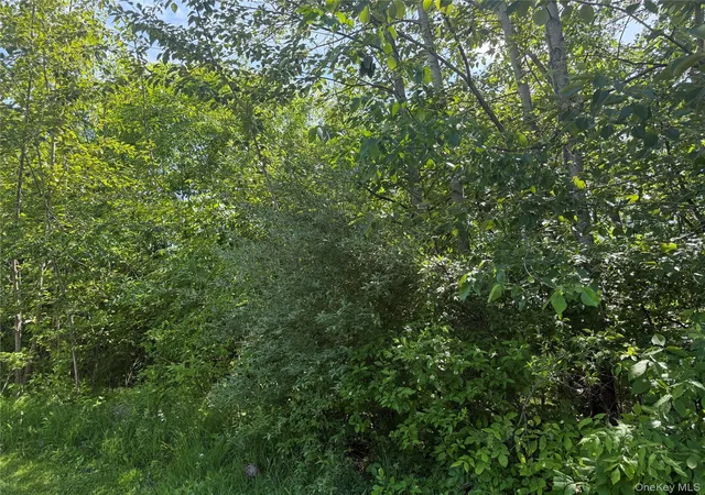 1st image of Tbd Hawleys Corners, Highland, NY 12528 | MLS# 1002658