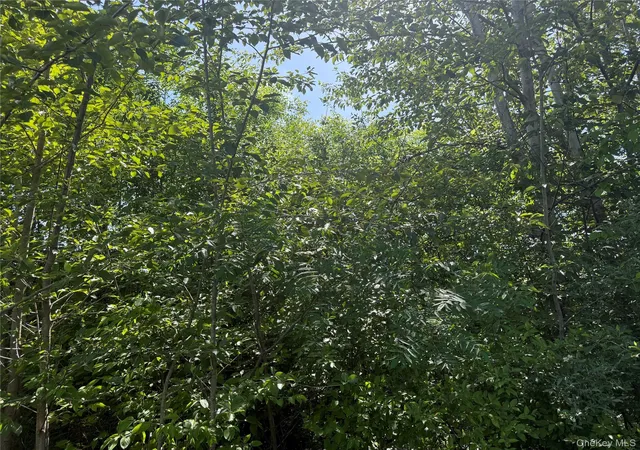 2nd image of Tbd Hawleys Corners, Highland, NY 12528 | MLS# 1002658
