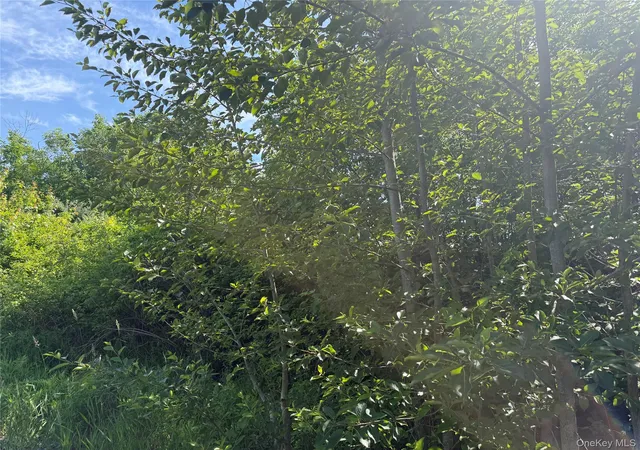 6th image of Tbd Hawleys Corners, Highland, NY 12528 | MLS# 1002658